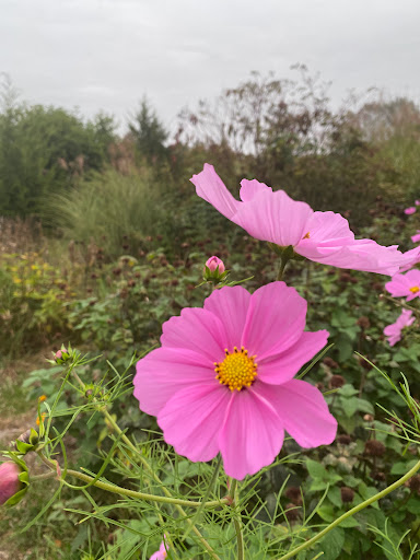 Park «NARA Park», reviews and photos, 25 Ledge Rock Way, Acton, MA 01720, USA