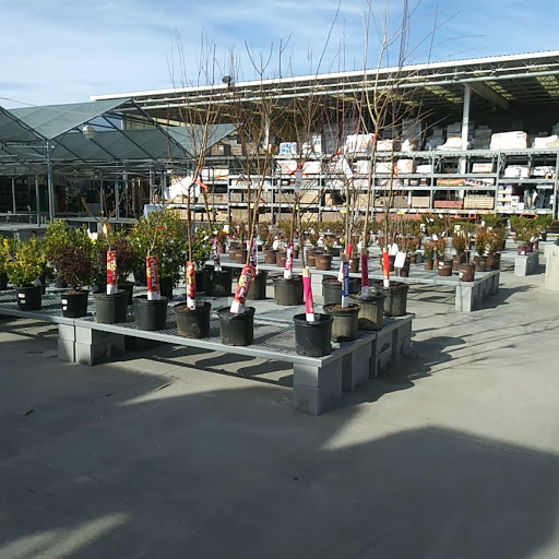 Home Improvement Store «The Home Depot», reviews and photos, 2150 W Spring St, Monroe, GA 30655, USA