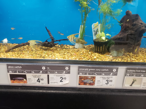 Pet Supply Store «Petco Animal Supplies», reviews and photos, 6761 Westminster Ave, Westminster, CA 92683, USA