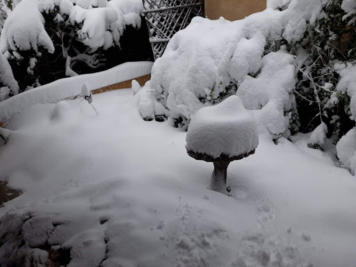 Park «Dublin Park», reviews and photos, 2450 Roundtop Dr, Colorado Springs, CO 80918, USA