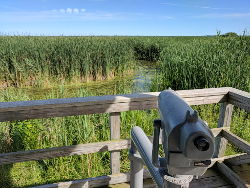 National Reserve «Montezuma National Wildlife Refuge», reviews and photos, 3395 US-20, Seneca Falls, NY 13148, USA