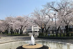 Mieji Park image