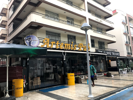 Artemis Cafe Pub