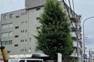 Mashiko Hospital image