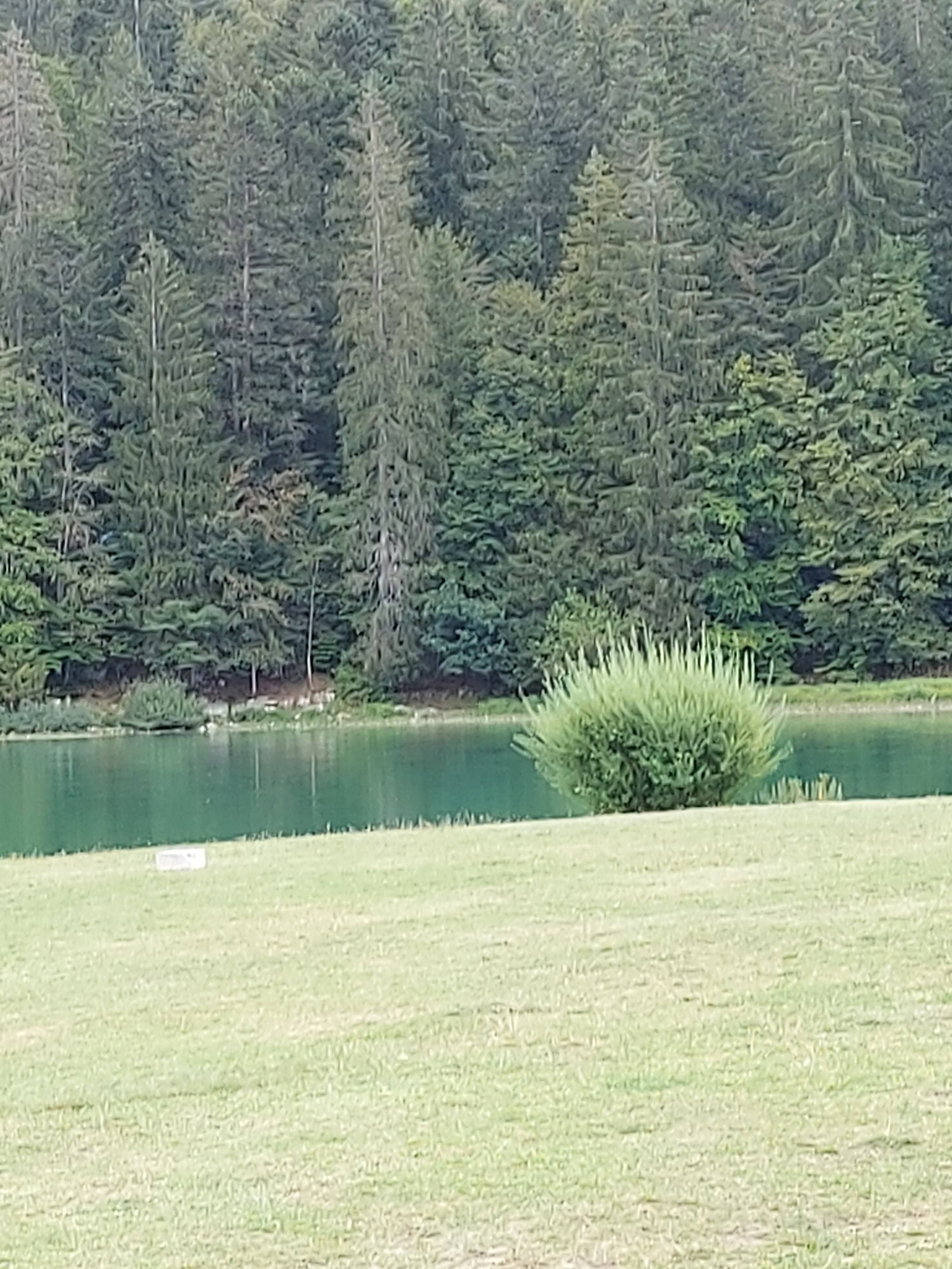 Photo n° 4 de l'avis de Florence. fait le 20/08/2020 à 11:32