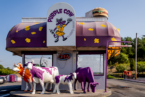 Purple Cow image