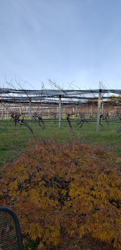 Winery «Truro Vineyards + South Hollow Spirits», reviews and photos, 11 Shore Rd, North Truro, MA 02652, USA