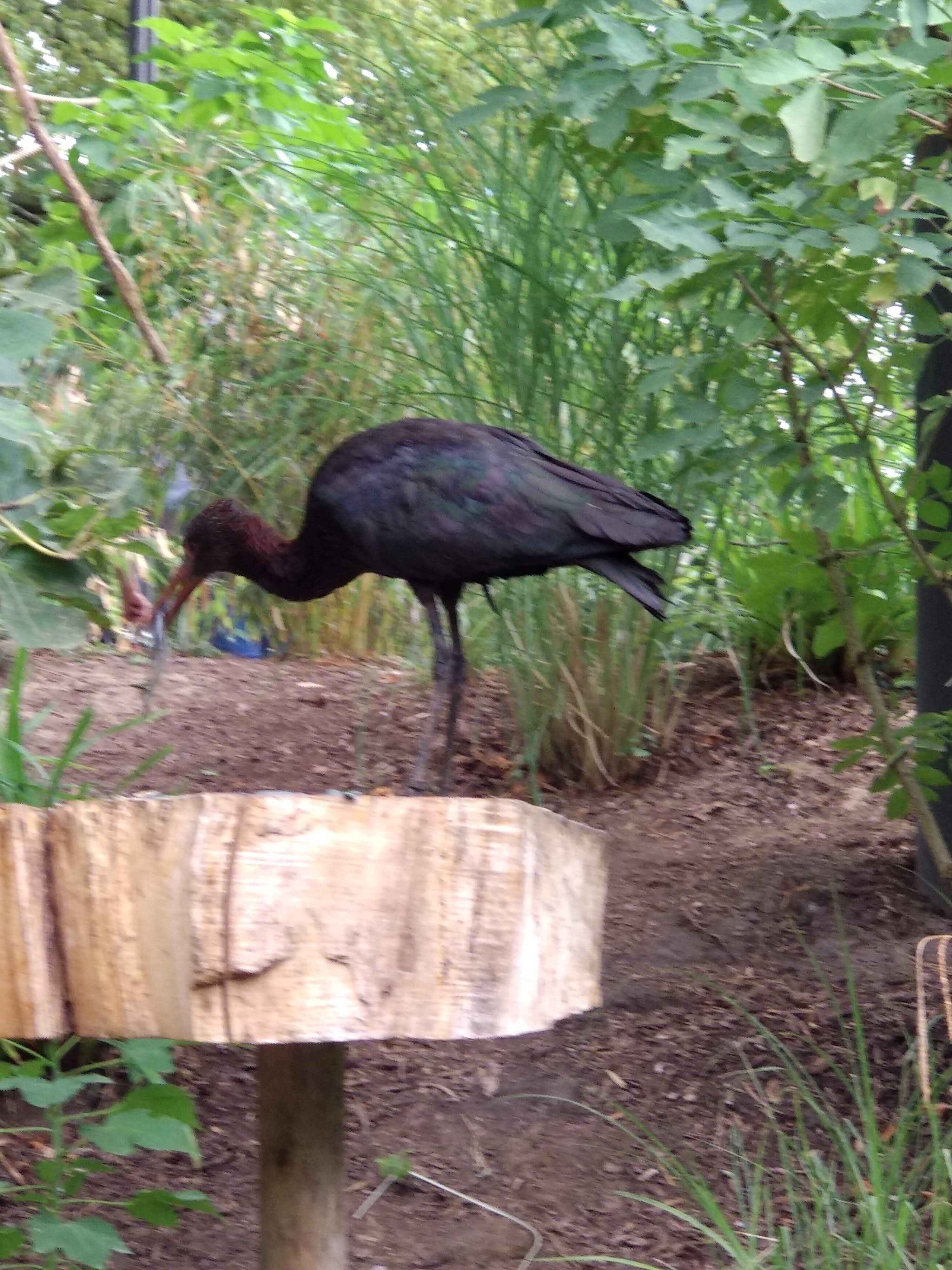 Photo n° 17 de l'avis de Xavier. fait le 10/08/2018 à 16:35