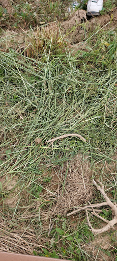 Farm «Lewin Farms», reviews and photos, 812 Sound Ave, Calverton, NY 11933, USA