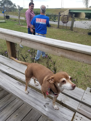 Winery «Hutchinson Farm Winery, LLC», reviews and photos, 8061 Stone Rd, Apopka, FL 32703, USA