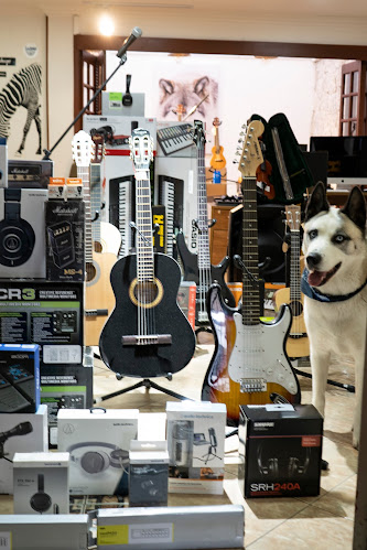 Opiniones de AKITA MUSIC Instrumentos Musicales y Audio en La Maná - Tienda de instrumentos musicales