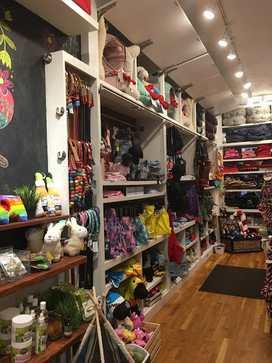 Pet Supply Store «The Fish & Bone, Boston MA», reviews and photos, 217 Newbury St, Boston, MA 02116, USA