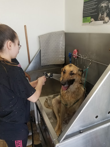 Pet Store «Pet Planet», reviews and photos, 5150 S Rural Rd #106, Tempe, AZ 85282, USA