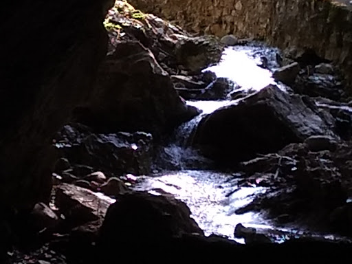 Cave «Bluegrass Underground», reviews and photos, 1437 Cumberland Caverns Rd, McMinnville, TN 37110, USA