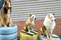 Harmonious Handling - Photo 4 - Car repair in Hagerstown, MD, Hagerstown