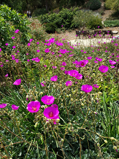 Park «Crown Valley Park / Laguna Niguel Parks & Recreation», reviews and photos, 29751 Crown Valley Pkwy, Laguna Niguel, CA 92677, USA