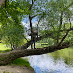 Photo n° 12 de l'avis de guillaume.e fait le 29/05/2024 à 20:42 pour Domaine du Cros d'Auzon à Saint-Maurice-d'Ardèche