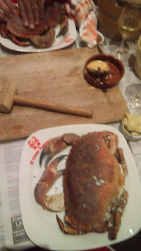 Metacarcinus magister du Restaurant de crabe Le Crabe Marteau à Brest - n°7