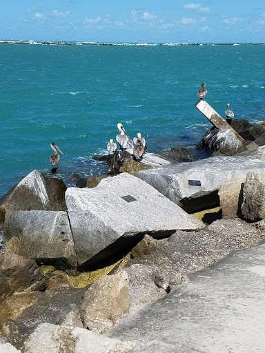 Marina «Fort Pierce City Marina», reviews and photos, 1 Avenue A, Fort Pierce, FL 34950, USA