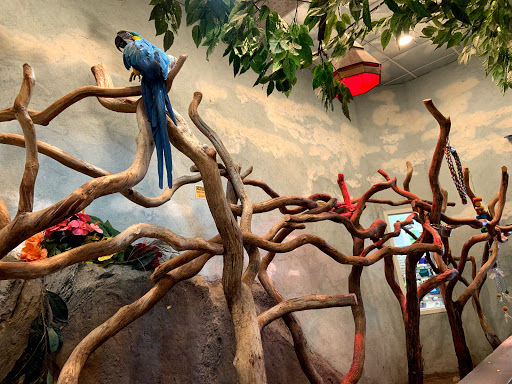 Pet Supply Store «PetKraze», reviews and photos, 100 Independent Way, Brewster, NY 10509, USA