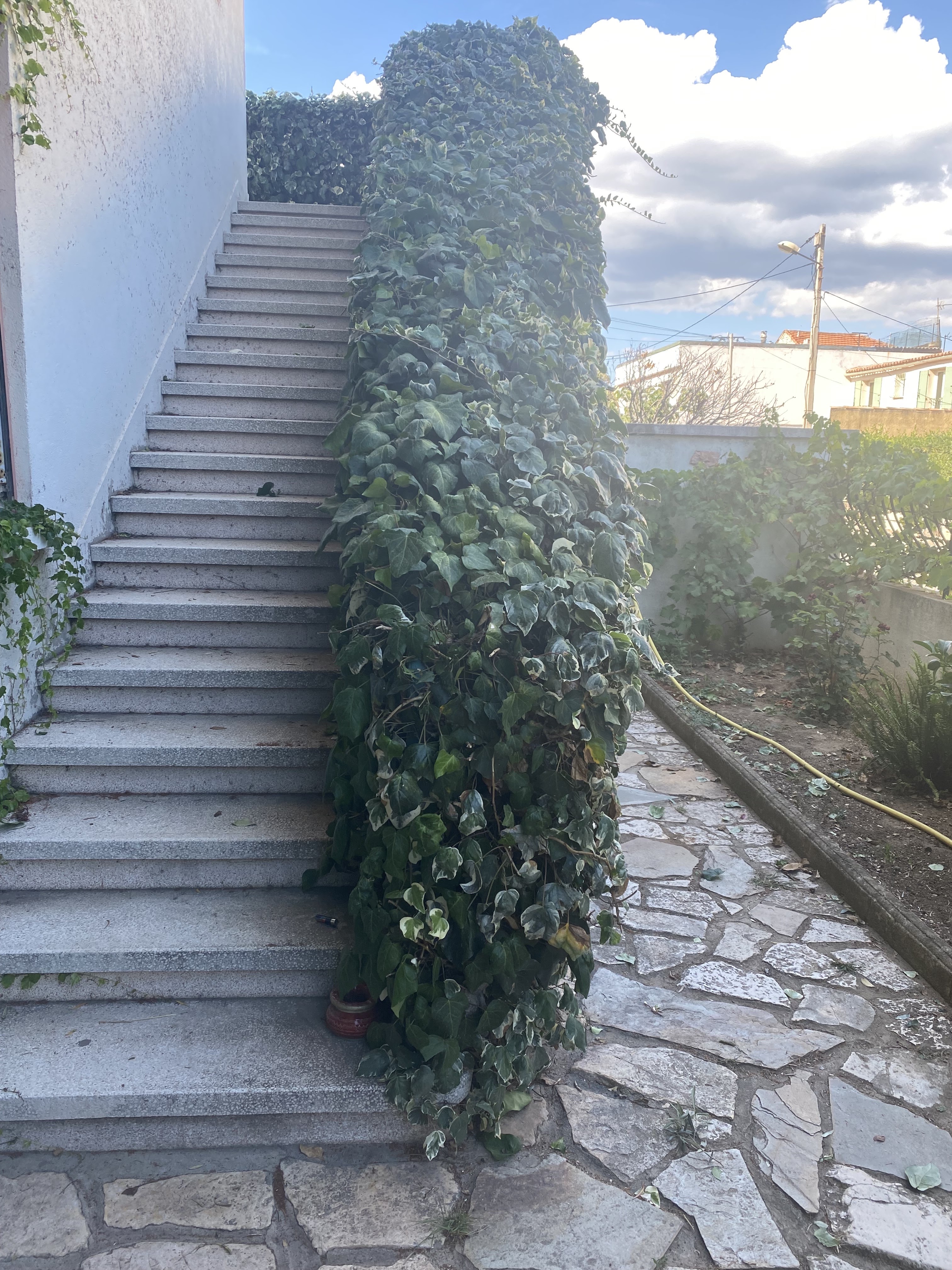 Photo n° 2 de l'avis de Françoise.h fait le 20/02/2022 à 21:09