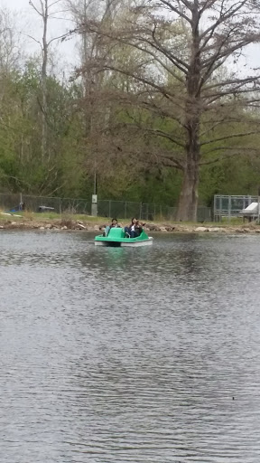 Public Golf Course «Landa Park Golf Course at Comal Springs», reviews and photos, 180 Golf Course Rd, New Braunfels, TX 78130, USA