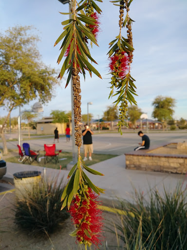 Park «Trailside Point Park», reviews and photos, 7215 W Vineyard Rd, Laveen Village, AZ 85339, USA