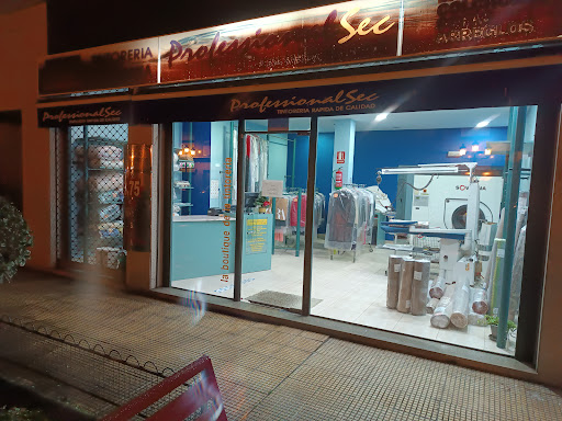 Tintorería Professional Sec en Barbadás, Ourense