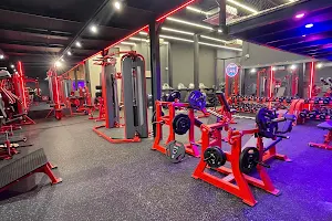 The Muscle Factory Gym (Ghatkopar East) - Available on Cult.fit | Gyms in Ghatkopar image