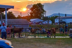 Franklin County Fair image