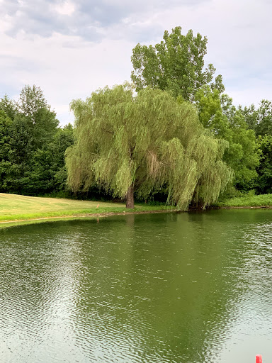 Golf Club «Five Oaks Golf & Country Club», reviews and photos, 621 5 Oaks Blvd, Lebanon, TN 37087, USA