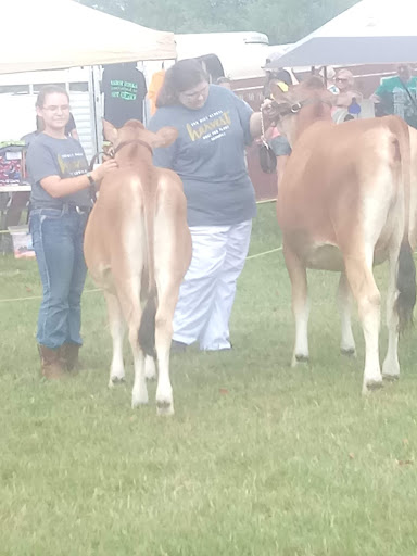 Park «Bicentennial Park», reviews and photos