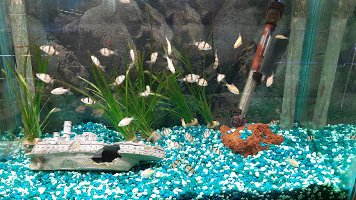 Pet Store «Just Pets», reviews and photos, 393 NY-5, Irving, NY 14081, USA