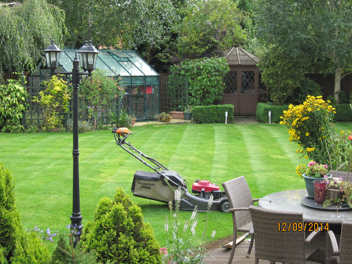 Cheshire Landscape Gardener