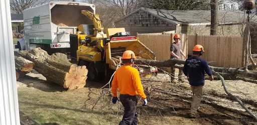 Bogan Tree Service