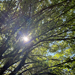 Photo n°7 de l'avis de Erna.a fait le 19/08/2022 à 12:52 sur le  ristorante pizzeria MASSERIA CECCONE à Campochiaro