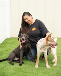 The Dog Stop - West Liberty/South Hills, Pittsburgh - Photo 8 - Car repair in Pittsburgh, PA, Pittsburgh