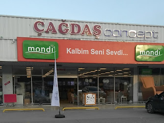 Cagdas Consept