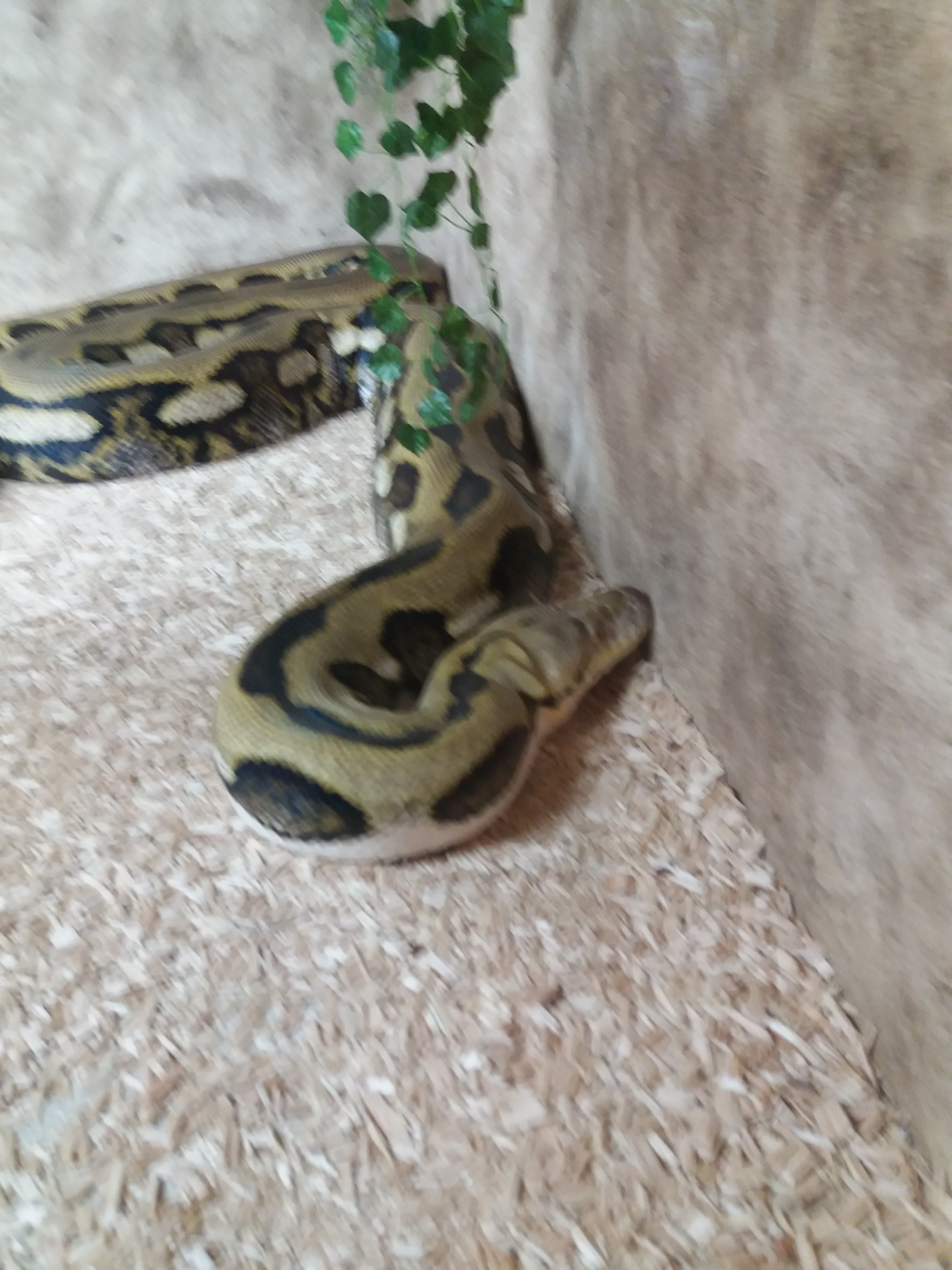 Photo n° 40 de l'avis de Damien.i fait le 21/08/2017 à 19:35