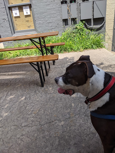 Liquor Store «Louisville Beer Store», reviews and photos, 746 E Market St, Louisville, KY 40202, USA