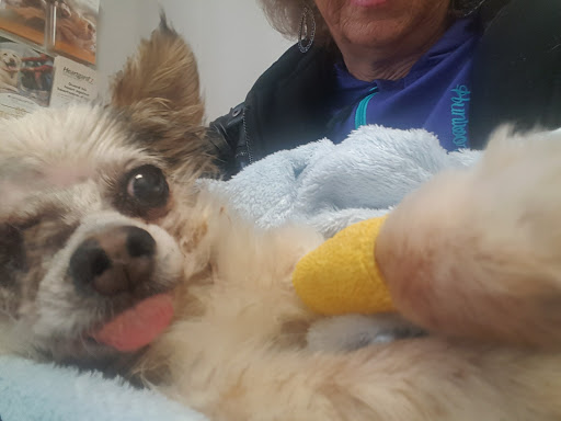 McCurtain Pet Clinic