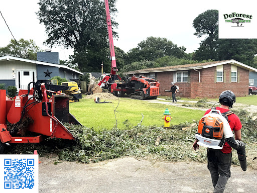 DeForest Tree Service - Virginia Beach, VA