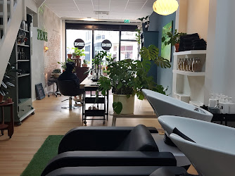 ZENZ Organic Hair Deventer