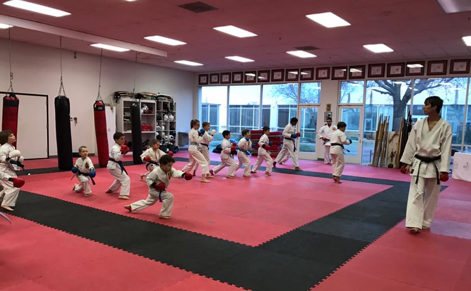 Haleys Martial Arts Center