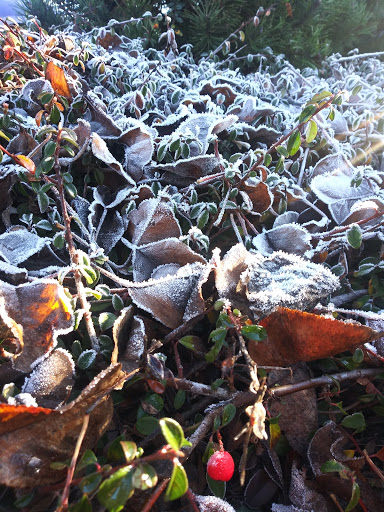 Discount Store «Walmart», reviews and photos, 19191 N Kelsey Street, Monroe, WA 98272, USA