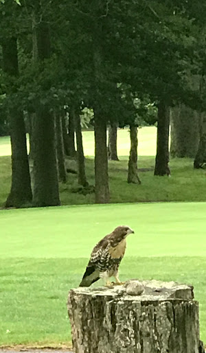 Golf Course «Rolling Oaks Golf Course», reviews and photos, 181 NY-25A, Rocky Point, NY 11778, USA