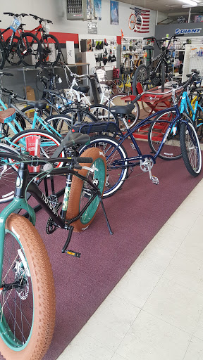 Northland Cycle & Fitness, 4584 N High St, Columbus, OH 43214, USA, 