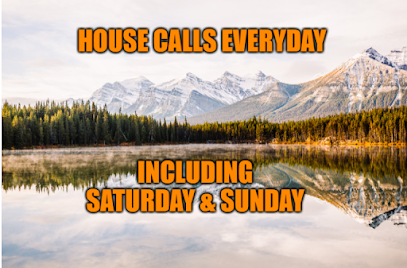 House Calls By DrZ - Chiropractor in Parker Colorado