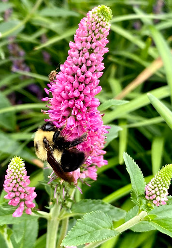 Home Improvement Store «The Home Depot», reviews and photos, 899 County St, Taunton, MA 02780, USA