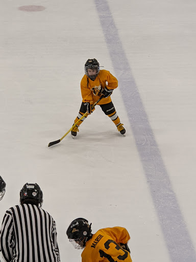 Ice Skating Rink «The Edge Ice Arena», reviews and photos, 735 E Jefferson St, Bensenville, IL 60106, USA